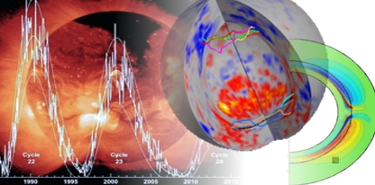 Solar cycle and the solar dynamo